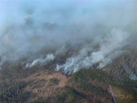 Municipalities asked Alberta’s United Conservatives to keep aerial wildfire fighters