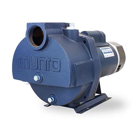 Munro LP300B 3 HP Centrifugal Pump... - Sprinkler …