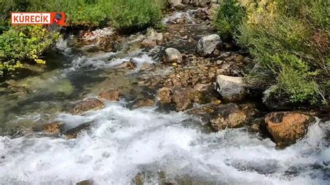 Munzur baba ben yarimi getiremedim.. YouTube. 