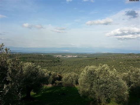 Murateli Halı ve Koltuk Yıkama