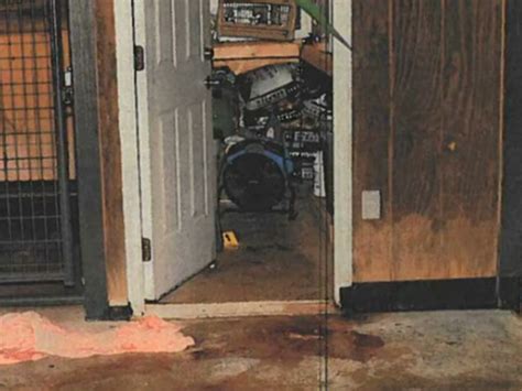 Murdaugh crime scene. Oct 7, 2023 · Dr. Ken Kinsey, a crime scene reconstruction expert who testified during the Murdaugh trial, talked to PEOPLE about what made him believe Murdaugh was guilty — and dismiss the defense's theory ... 