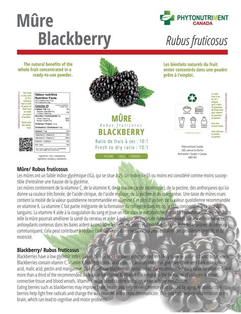 Mure Halı ve Koltuk Yıkama