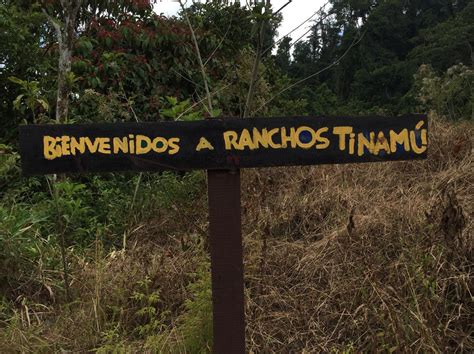 Murefte Halı ve Koltuk Yıkama