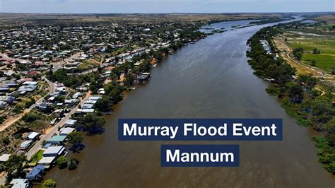 Murray Flood Event - Mannum - YouTube