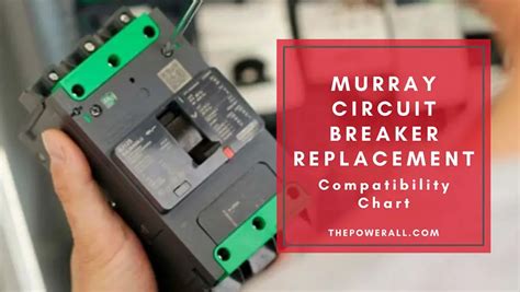 Murray breakers compatible. Things To Know About Murray breakers compatible. 