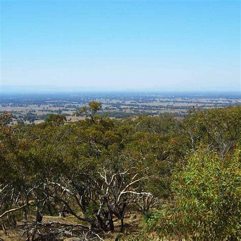 Murray to Mountains Rail Trail (Wangaratta): All You Need to …