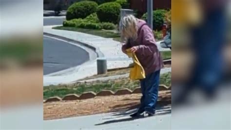 Murrieta woman suffers hundreds of bee stings in attack seen on video