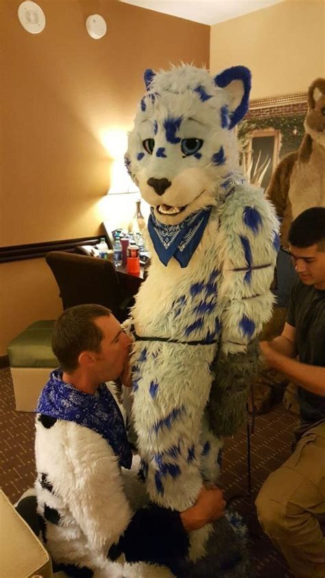 A common misconception is that there is a sexual connotation to wearing a fursuit and we are here to say that this is not necessarily. . Murrsuiters