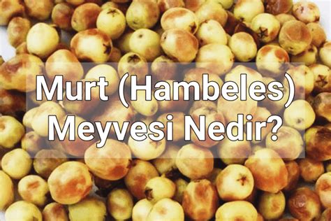 codini.rgarabwor.edu.pl. 