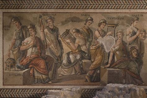 Musalar Halı ve Koltuk Yıkama