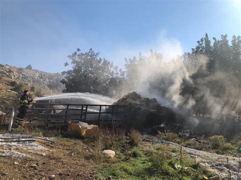 Musapinari Halı ve Koltuk Yıkama