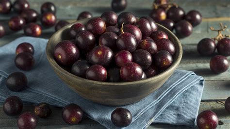 Muscadine grapes near me. Things To Know About Muscadine grapes near me. 