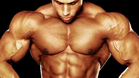 Muscle Memory Steroids and Creatine