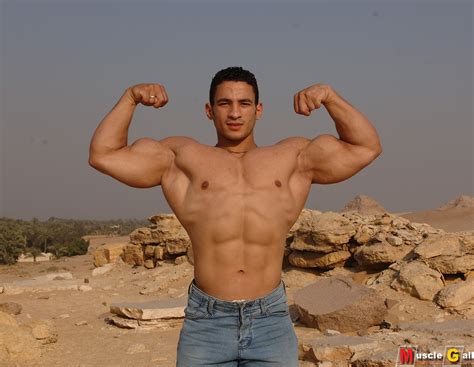 Muscle Photo Gallery