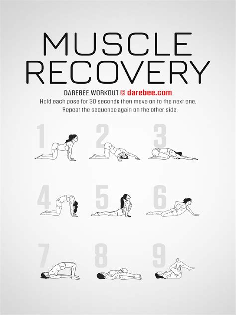 Muscle Recovery Workout PDF