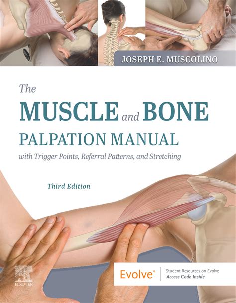 Muscle and bone palpation manual mcgraw hill. - Massey ferguson 3080 workshop manual italiano.