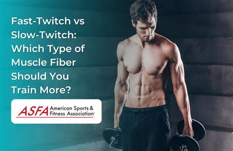 Muscle fibers - fast twitch vs. slow twitch