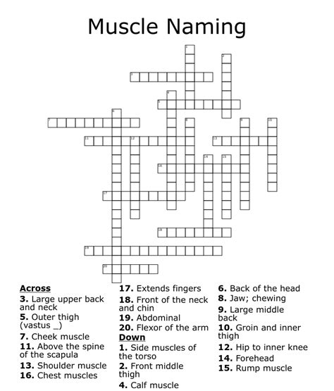  The Crossword Solver found 30 answers to "muscle near the humorous", 5 letters crossword clue. The Crossword Solver finds answers to classic crosswords and cryptic crossword puzzles. Enter the length or pattern for better results. Click the answer to find similar crossword clues . Enter a Crossword Clue. . 