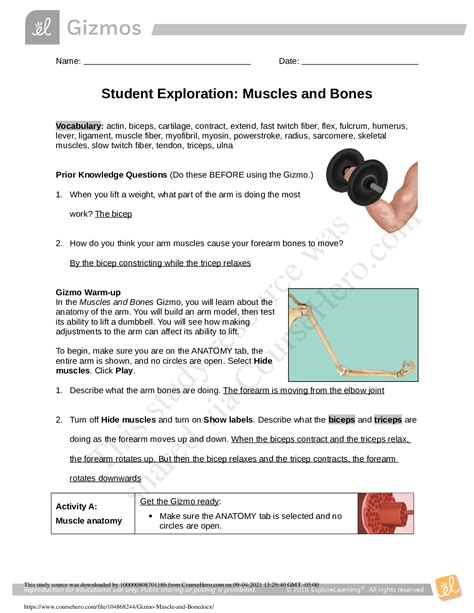 The Gizmo muscles and bones answer key is a valuable resource that provides students with the necessary answers and explanations for completing the Gizmo muscles and bones activity. This activity is designed to help students understand the structure and function of muscles and bones in the human body. By using the Gizmo muscles and bones answer ...