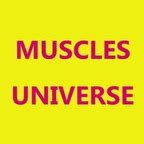 Musclesuniverse Leaked +18 🍆 130 Videos