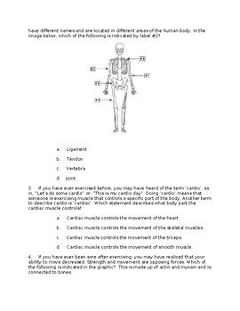 Musculoskeletal System Quiz And Answers