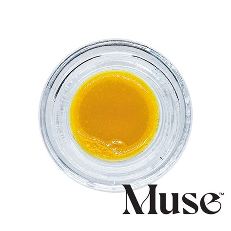 Muse Live Budder 1G - MACE - shop.trulieve.com