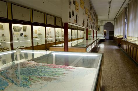 Museo civico di storia naturale di verona dal 1862 ad oggi. - Economía y sostenibilidad en las zonas ex-conflictivas en el salvador.