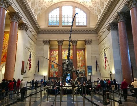 The Museum's Top Attractions . The Dinosaurs: The museum's famous dinosaur exhibits attract dinosaur maniacs of all ages. Located on the fourth floor, the giant dinosaur fossils on display include a Tyrannosaurus Rex, Apatosaurus, Stegosaurus, and the new-for-2016, 122-foot-long Titanosaur.