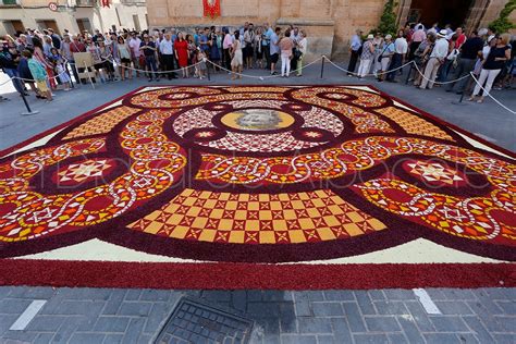 Museo de las alfombras de serrín (Elche de la Sierra) - Lo que se …