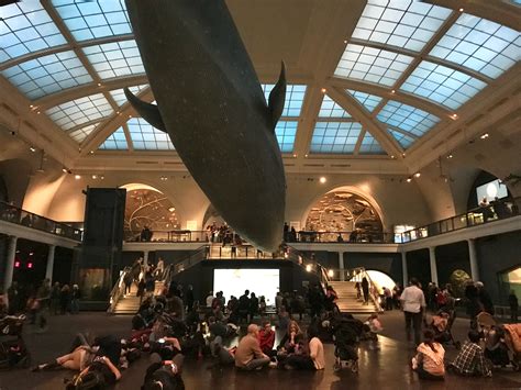 O Museu Americano de História Natural de Nova York possui 45 salas de exposições permanentes e um planetário. O enorme museu de ciências contém mais de 34 milhões de exposições, das quais apenas uma pequena parte está em exibição a qualquer momento. Essas exposições ocupam mais de 2 milhões de pés quadrados (190,000 m2) do ....