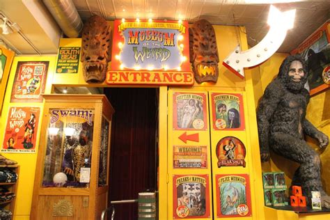 Museum of the weird austin. Apr 1, 2015 · Museum of The Weird: Totally worth it! - See 287 traveler reviews, 198 candid photos, and great deals for Austin, TX, at Tripadvisor. 