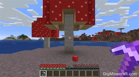 Mushroom Block in Minecraft