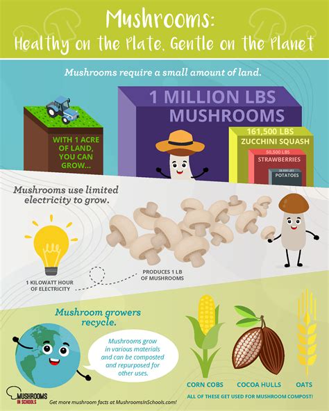 Mushroom Facts For Kids