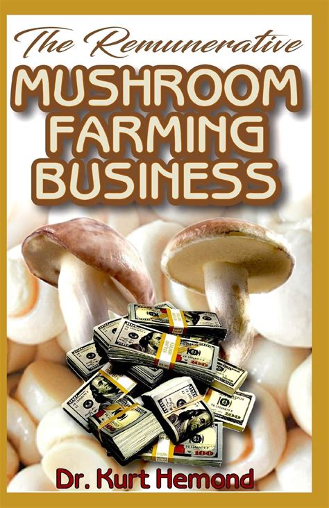 Mushroom Farming Business Guide For Beginners - ROYS FARM