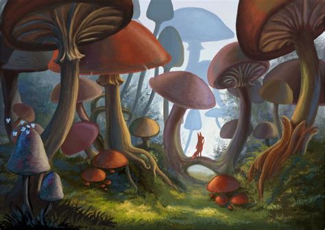 Mushroom Forest Drawings
