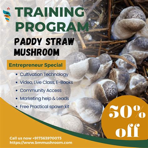 Mushroom cultivation training in nashik. .  <a href=https://algaith.b2cdomain.in/6bx3/index.php...