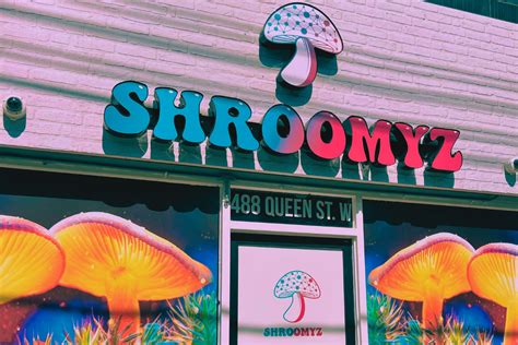 A psilocybin mushroom co-op has opened in Denver in light of Colorado's new psychedelic laws, and the dispensary isn't worried about law enforcement.. 