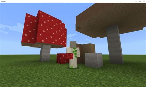 Mushroom in Minecraft