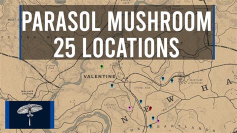 WHERE TO FIND 5 MUSHROOMS EXACT LOCATION - HERBALIST 4 - RED