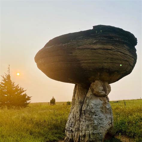Regarded as one of the 8 Wonders of Kansas Geography, this 5-acre park is known for its strange rock formations resembling mushrooms. What are the mushrooms at Mushroom Rock State Park made of? According to Kansas State Parks, they are cemented calcium carbonate - basically sandstone and sedimentary rock held together …. 