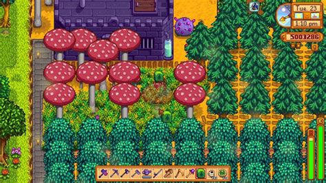 Mushroom trees stardew. Efarn ( talk) 06:02, 15 March 2021 (UTC) Common trees are "Tree" in the code, but Fruit Trees are "FruitTree", so they will never turn into mushroom trees. The code looks like it includes Mahogany trees. I'd feel more comfortable if I had the time to test in-game. margotbean ( talk) 04:21, 16 March 2021 (UTC) 