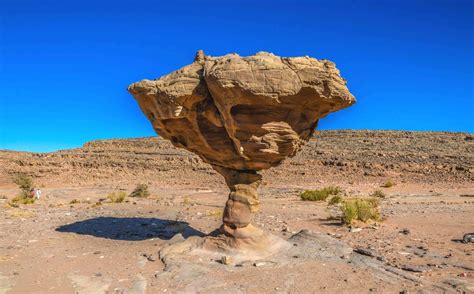 These mushroom shaped rocks at Mushroom Rock State Park, and were left here millions of years ago, along the edge of the inland sea that once covered much of the central United States. The tops are made of the same sandstone as rocks in the Dakotas, and the bottoms are made of a softer rock that erodes away much faster, leaving a mushroom shape.