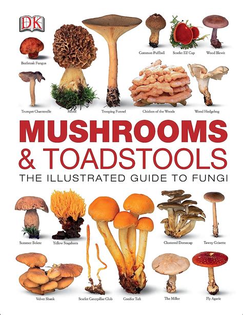 Mushrooms a comprehensive guide to mushroom identification. - Zamki i dwory obronne wojewodztwa sandomierskiego w sredniowieczu.