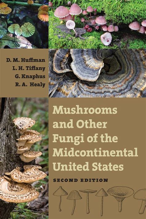 Mushrooms and other fungi of the midcontinental united states bur oak guide. - Matrimonio nel nuovo codice di diritto canonico.