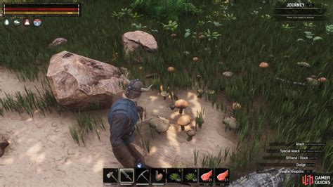 Conan Exiles. All Discussions Screenshots Artwork Broadcasts Videos Workshop News Guides Reviews ... Red Mushroom 1 - 3 Brown Mushroom 1 - 3 Brown Mushroom Cluster Red Mushroom Cluster __Equipment:__ Bird Feet (Feathered) - Replaces Bird Feet - Black, and adds a small fur tuft around the ankles to break up the seam (thanks to Agony for the idea!).