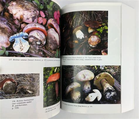 Mushrooms demystified a comprehensive guide to the fleshy fungi. - Kawasaki jet ski watercraft stx 15f 2004 2005 service manual.