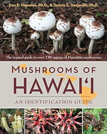Mushrooms of hawai i an identification guide. - Growth hacking handbook for managerss for managers english edition.