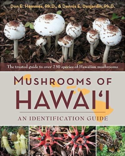 Mushrooms of hawaii an identification guide. - A kids guide to making a terrarium gardening for kids.