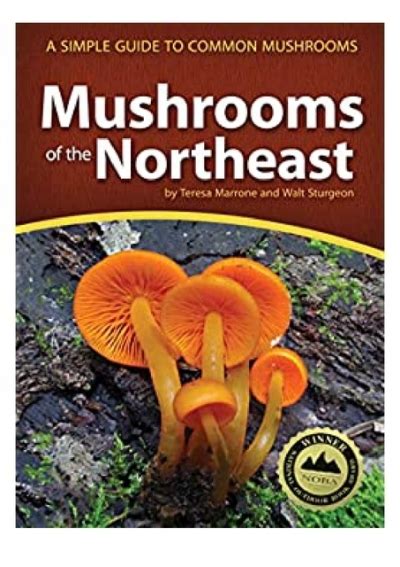Mushrooms of the northeast a simple guide to common mushrooms mushroom guides. - 1978 evinrude manuale di riparazione da 25 cv.