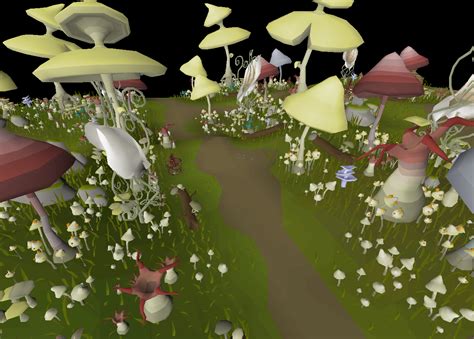 Mushrooms osrs. Black mushrooms are fungi that typically grow in old caves and ruins. They can be picked to receive a black mushroom, which can be ground up with a pestle and mortar and vial to obtain black dye, which is used for several quests. 